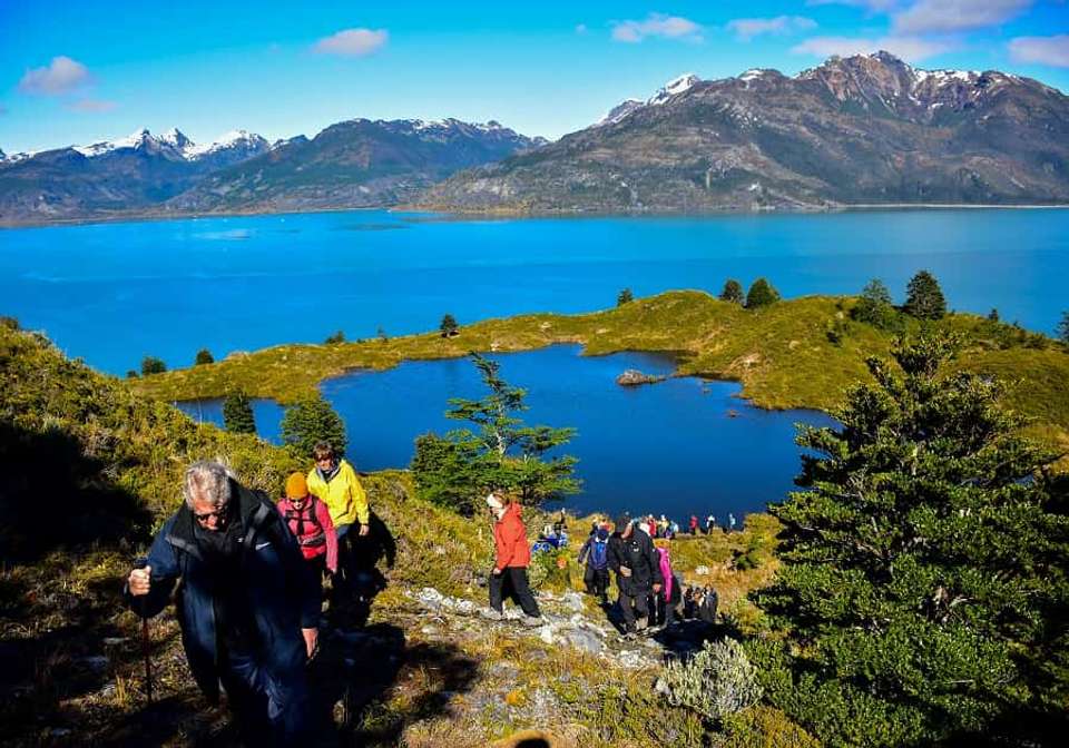 Cruising Fjords of Tierra Del Fuego - Indus Travels - Chile - Image 7