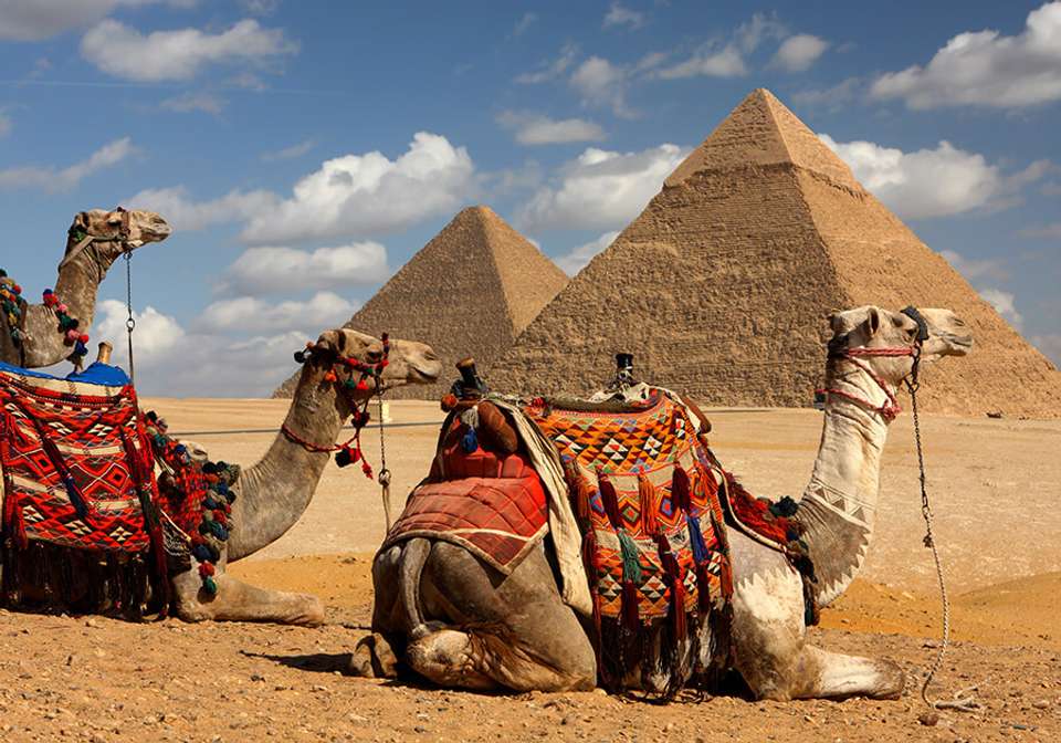 Cruising The Nile and Lake Nasser - Indus Travels - Egypt - Image 2