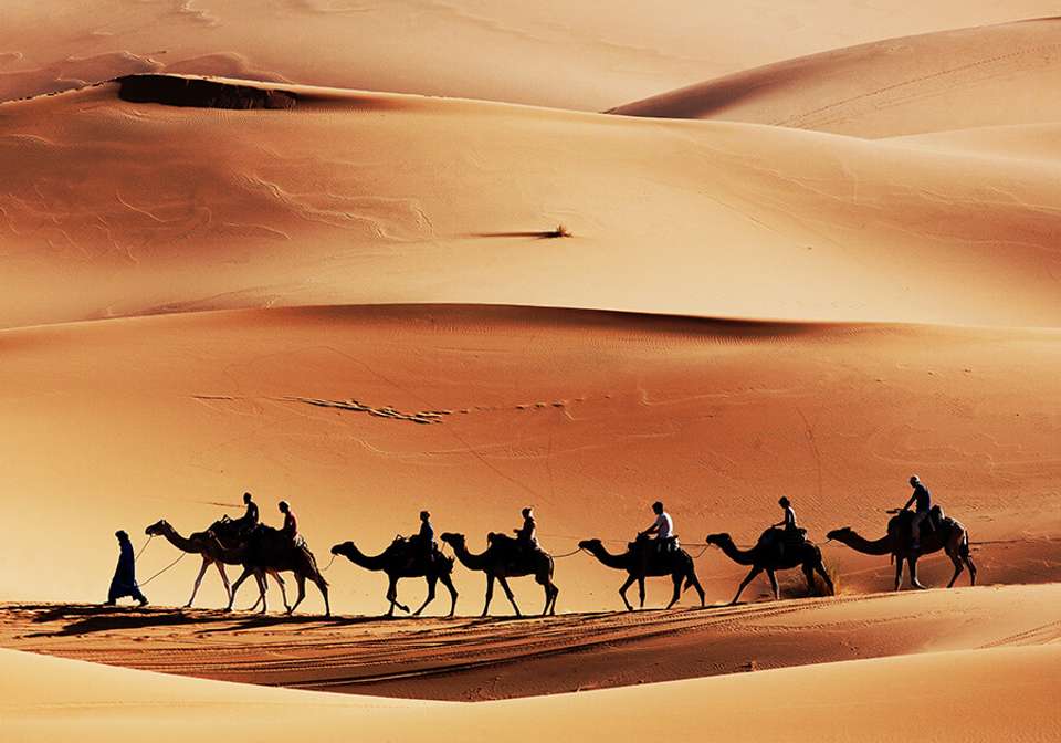 Cruising The Nile and Lake Nasser - Indus Travels - Egypt - Image 3