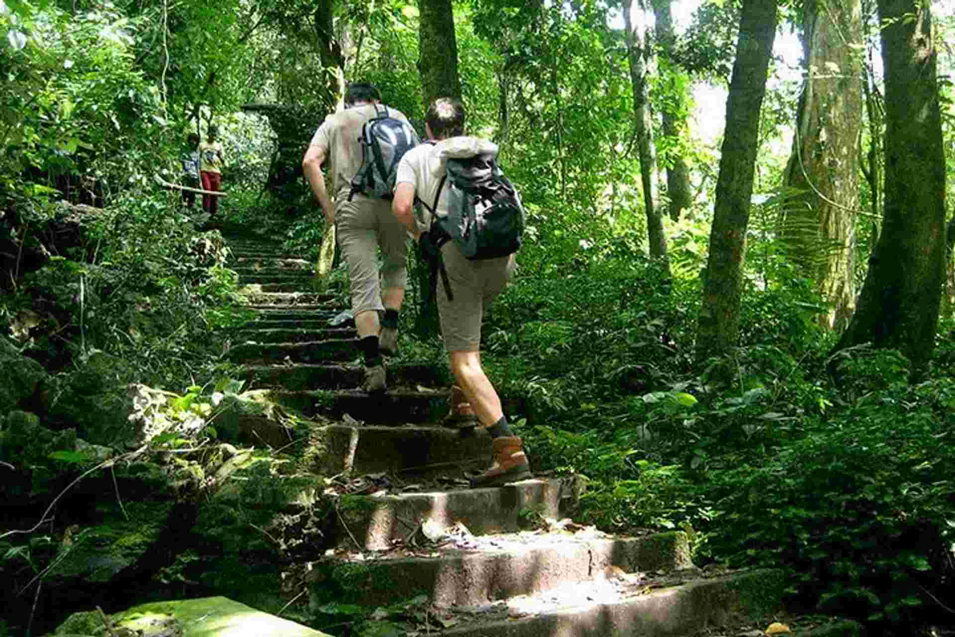 Cuc Phuong National Park Day Tour - Hiking