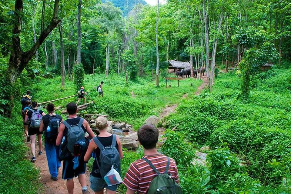 Cuc Phuong National Park Day Tour - Hiking - undefined - Image 2