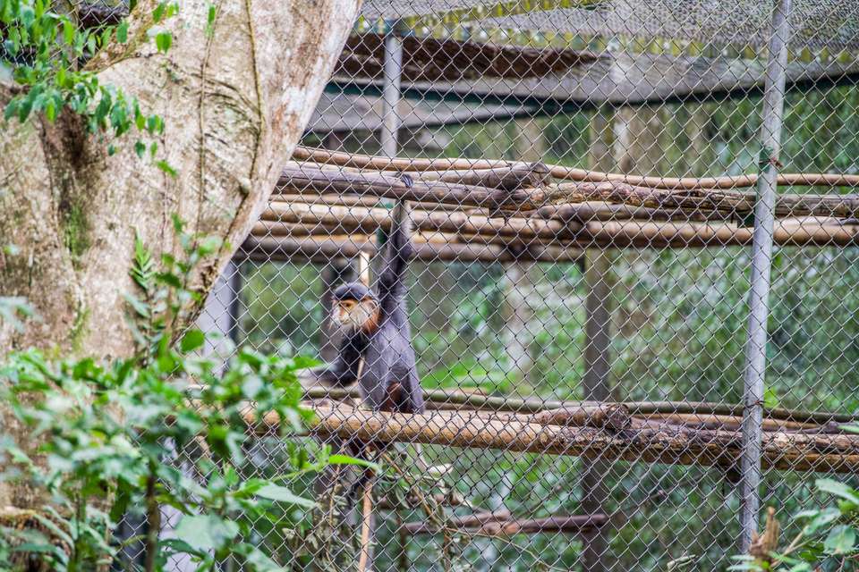 Cuc Phuong National Park Day Tour - Hiking - undefined - Image 10