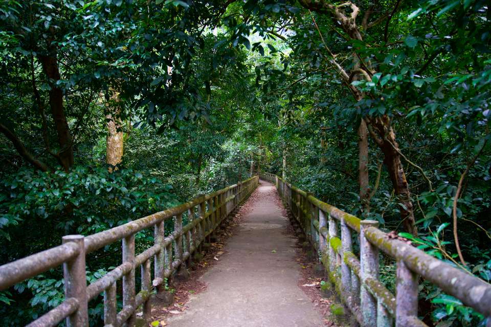 Cuc Phuong National Park Day Tour - Hiking - undefined - Image 13