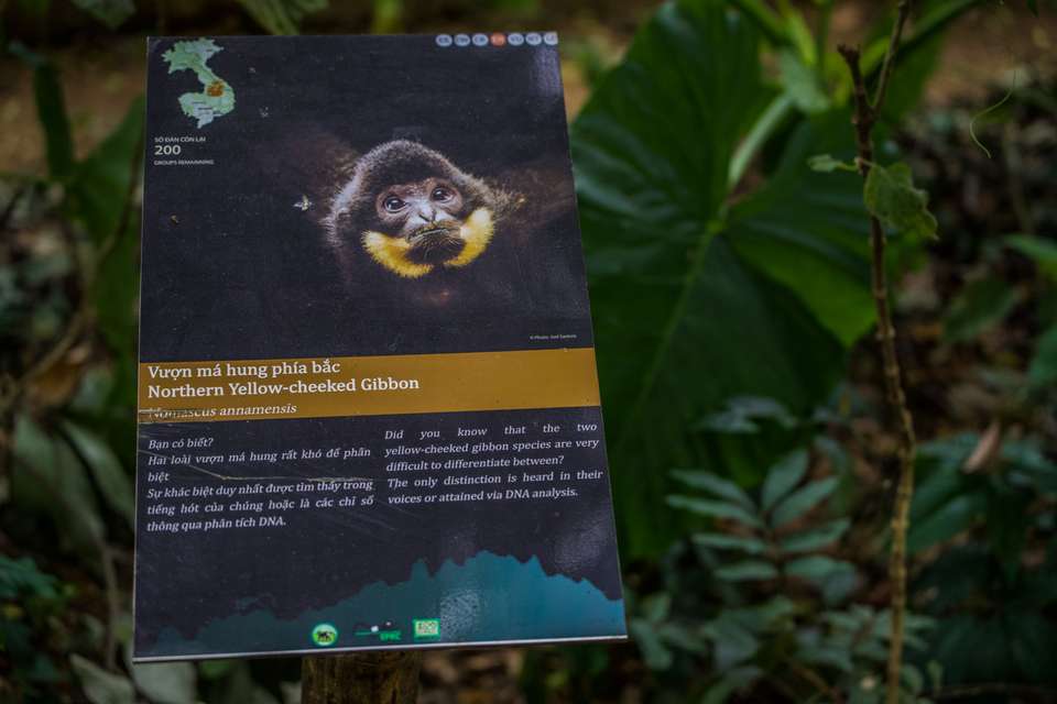 Cuc Phuong National Park Day Tour - Hiking - undefined - Image 14