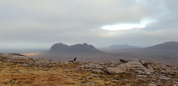 Image 2 of 4