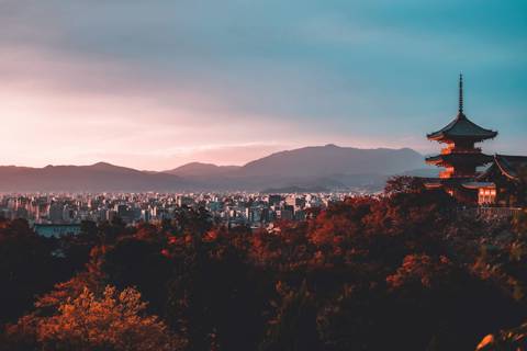Tokyo Bicycle Tour: Culinary Delights & Cultural Wonders Of Japan 7d/6n
