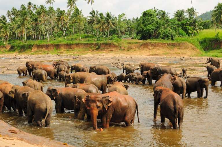 Sri Lanka Getaways and short breaks Tour: Cultural Tour