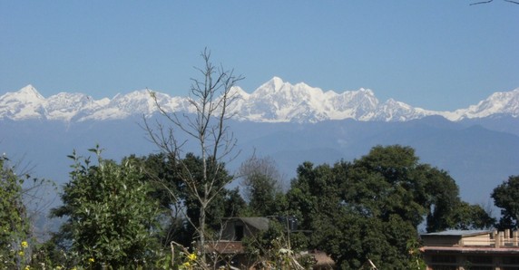 Image 4 of 7