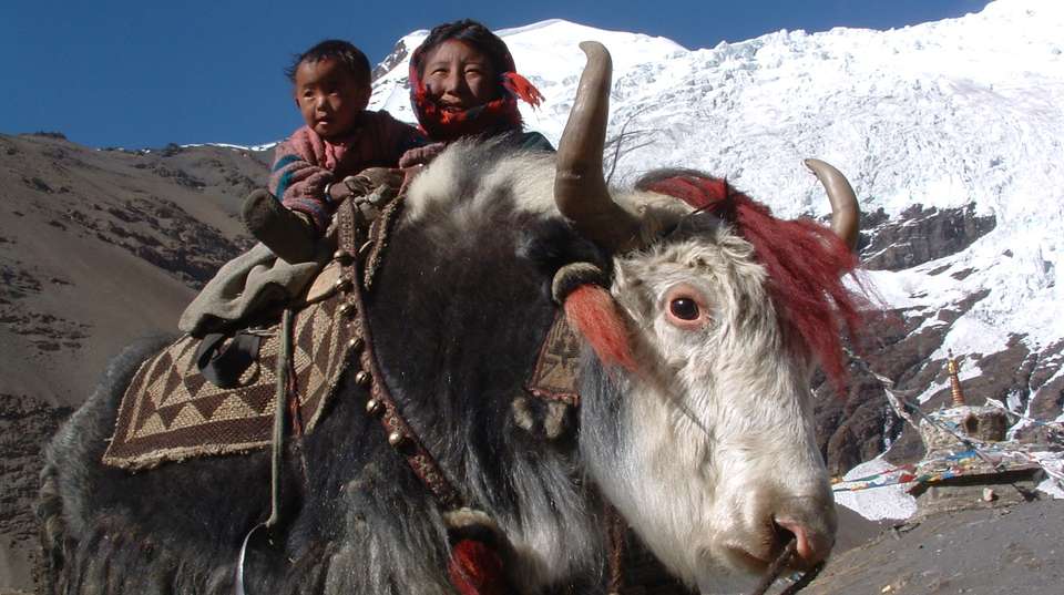 Cultural Tour of Tibet (with Everest North Base Camp) - undefined - Image 11