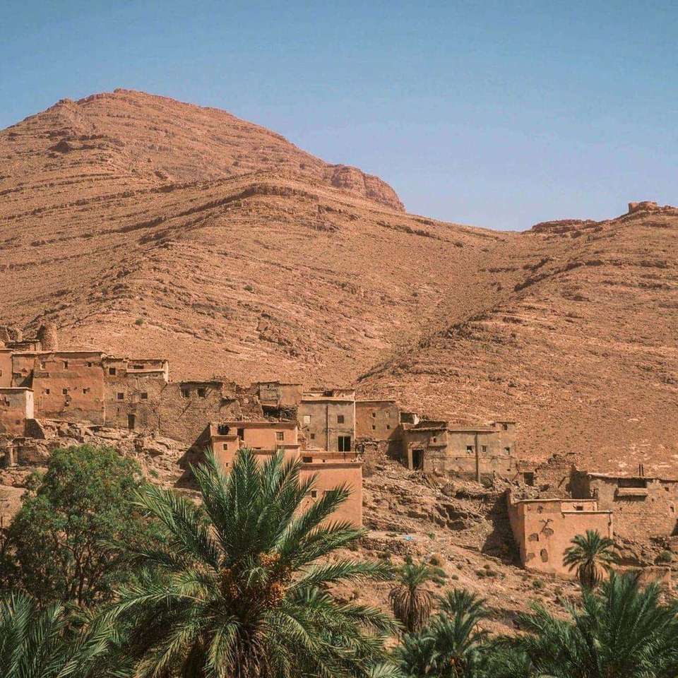 Culture and Coastlines in Morocco - undefined - Image 5