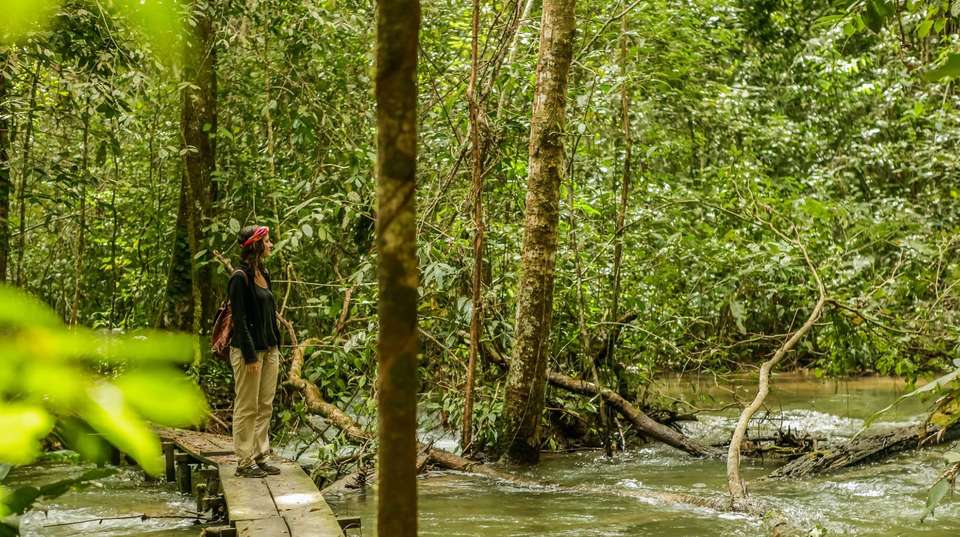 Culture & Jungle in Chiapas - Rutopia - Mexico - Image 7