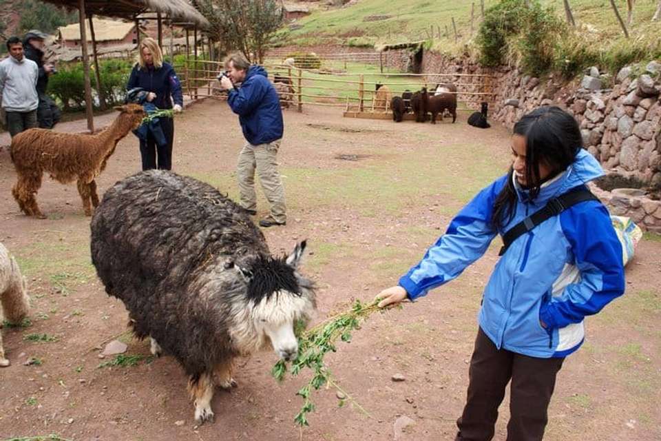 Cusco & Sacred Valley Explorer - 6 days - undefined - Image 7