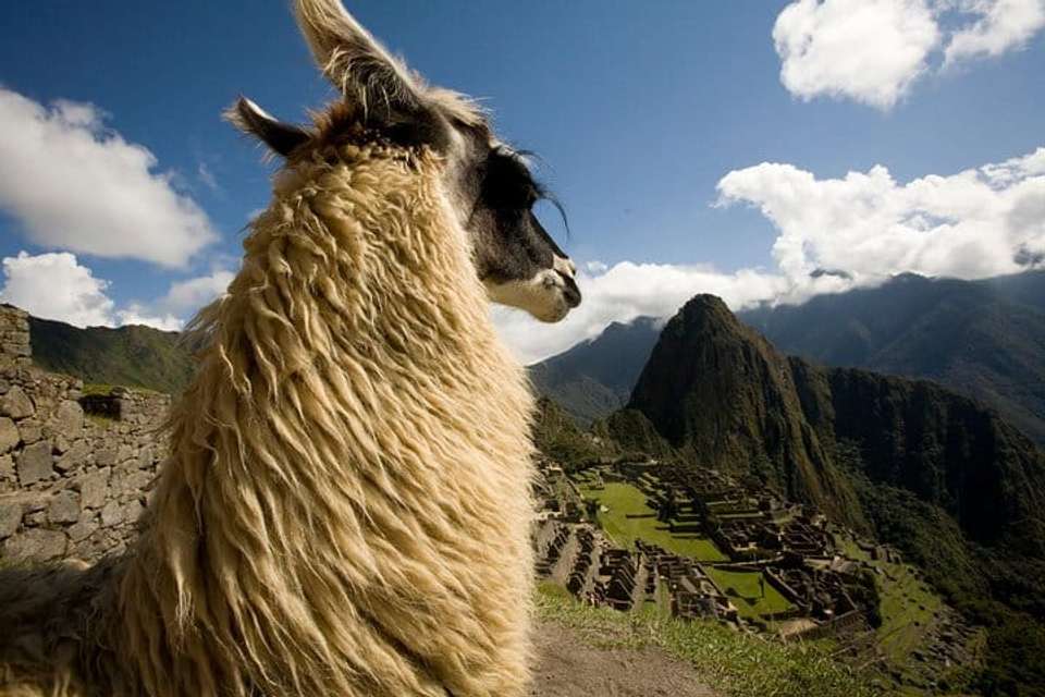 Cusco & Sacred Valley Explorer - 6 days - undefined - Image 8