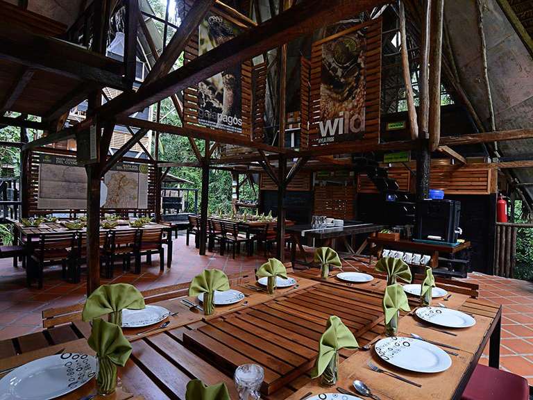 Cuyabeno Amazon Eco-Lodge Adventure 5D/4N trip - alternative tour available