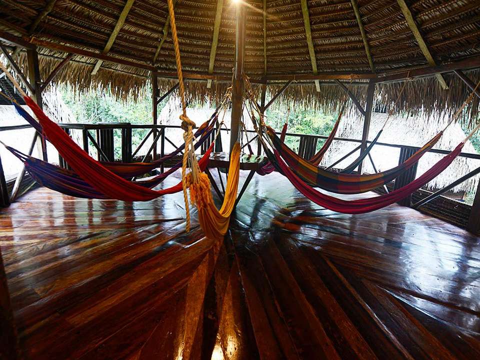 Cuyabeno Amazon Eco-Lodge Adventure 5D/4N - Bamba - Ecuador - Image 3