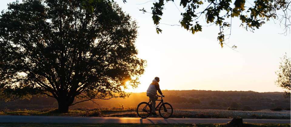 Cycle Amsterdam to Paris - Utracks - Holland