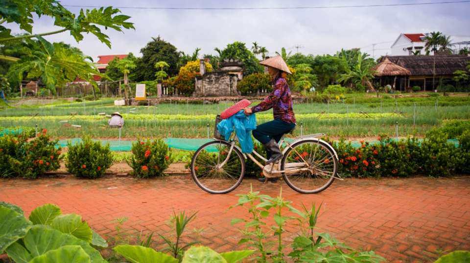Cycle and cook at Tra Que Vegetable Village - undefined - Image 1