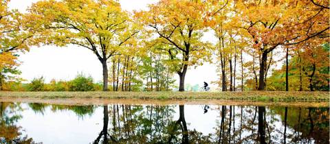 Museum And Gallery Visits Tour: Cycle Bruges To Amsterdam