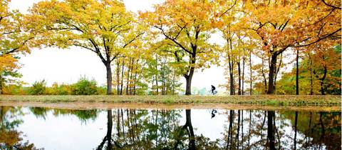 Art And Architecture Tour: Cycle Bruges To Amsterdam