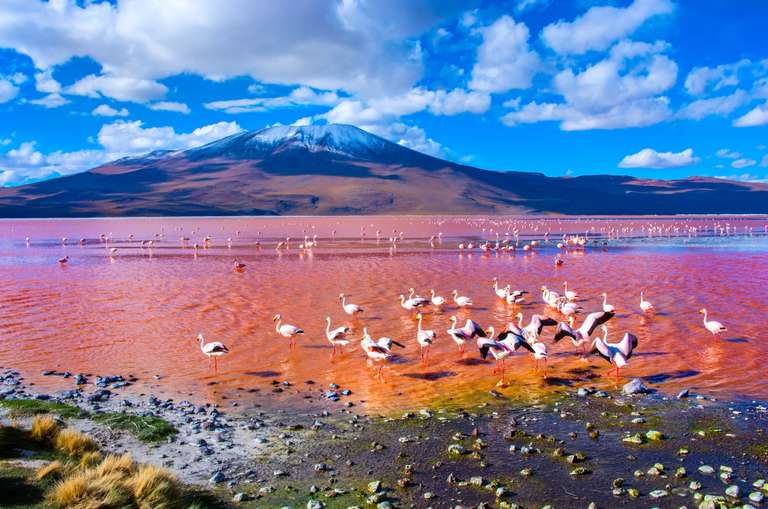 Cycle Chile & Argentina: Atacama to Salta