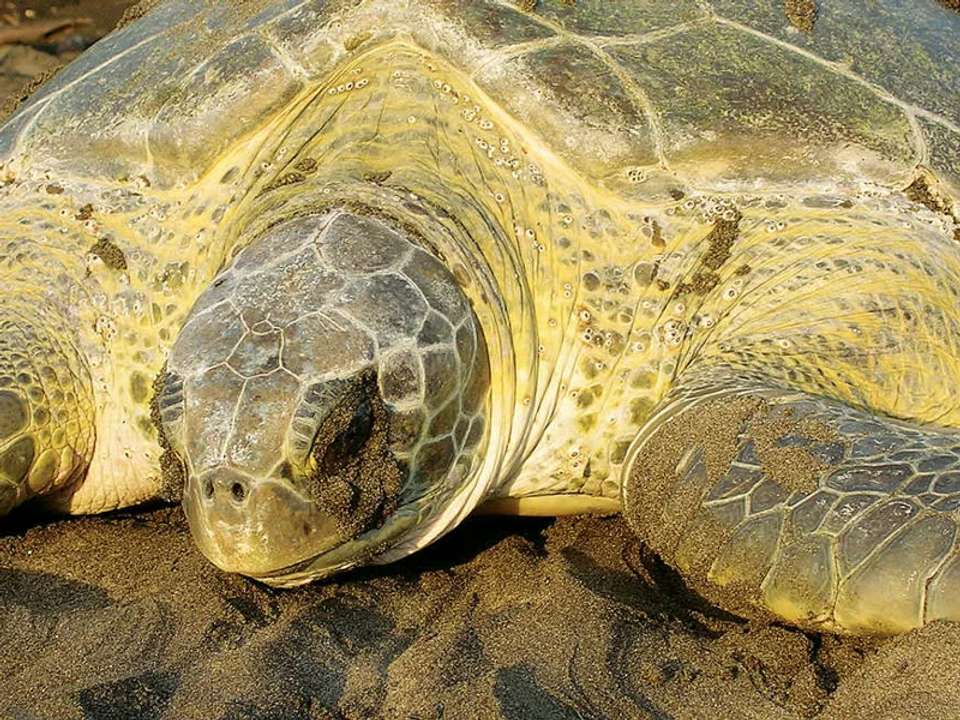 Image 12 of 22