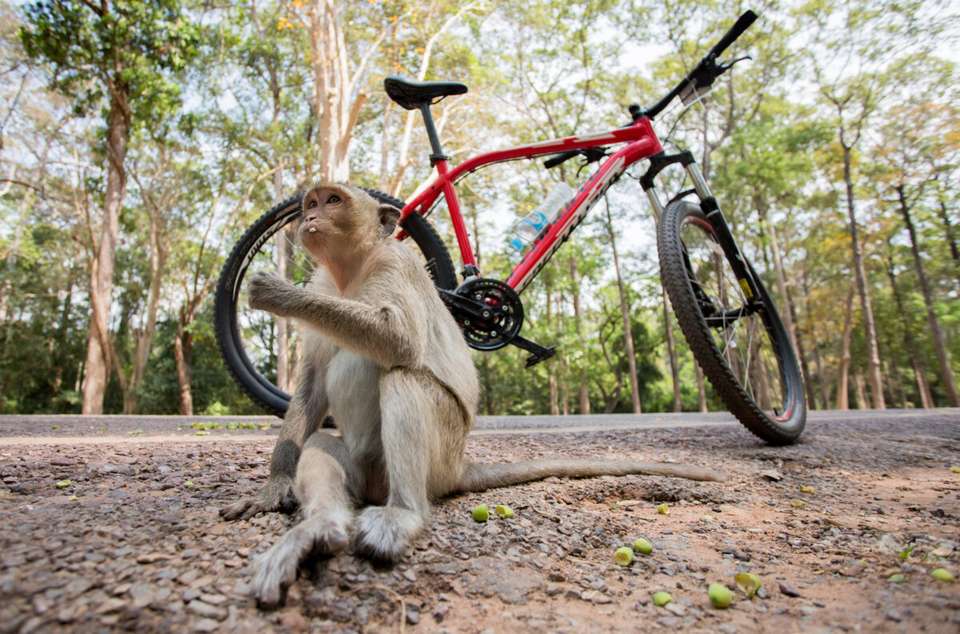 Cycle Southeast Asia - Exodus Adventure Travels - Thailand