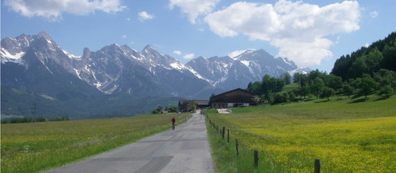 Image 2 of 7
