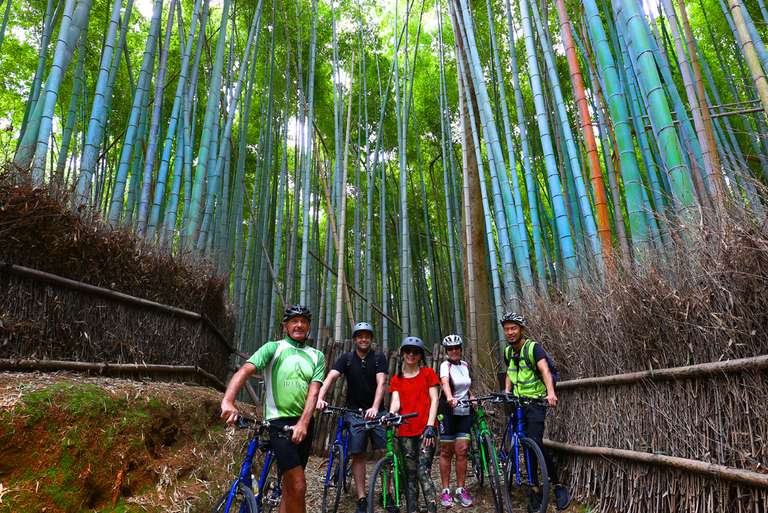 Cycle Japan trip - alternative tour available