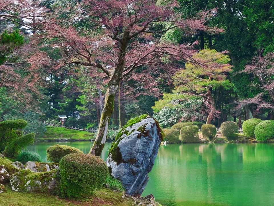 Cycle Japan - undefined - Image 15