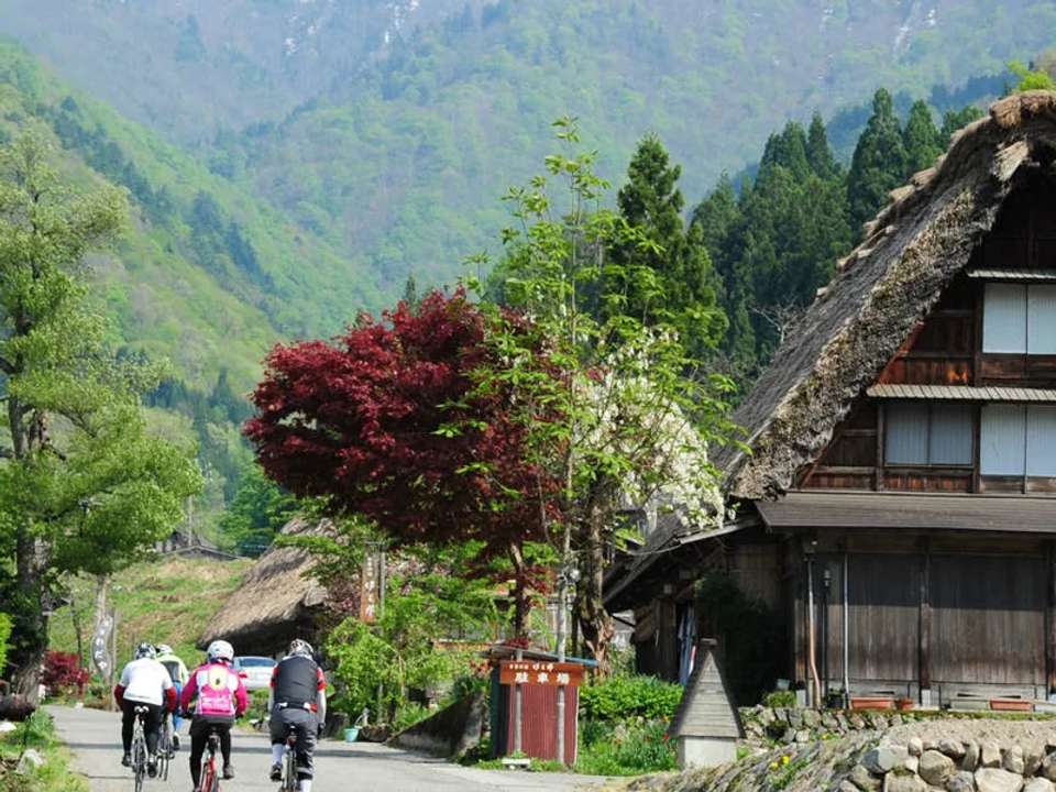 Cycle Japan - undefined - Image 14
