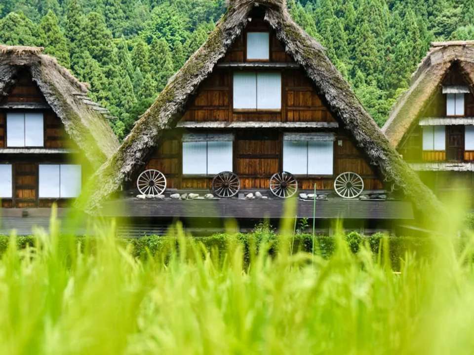 Cycle Japan - undefined - Image 2