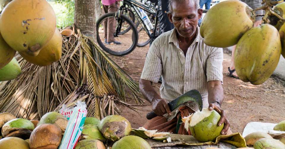 Cycle Kerala - Explore - India - Image 11