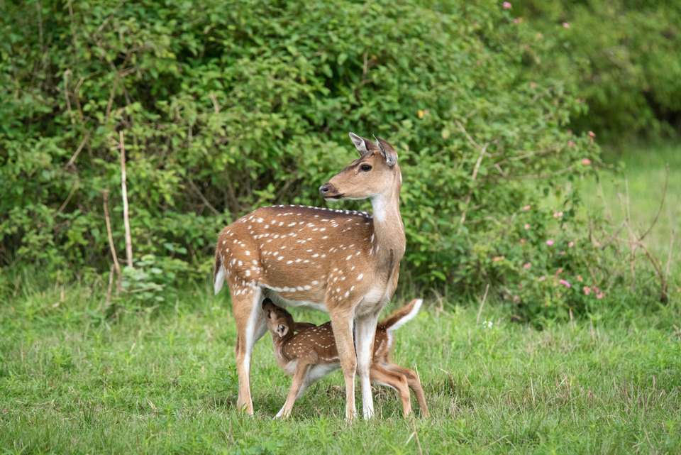 Cycle Kerala & Tropical India - Exodus Adventure Travels - India