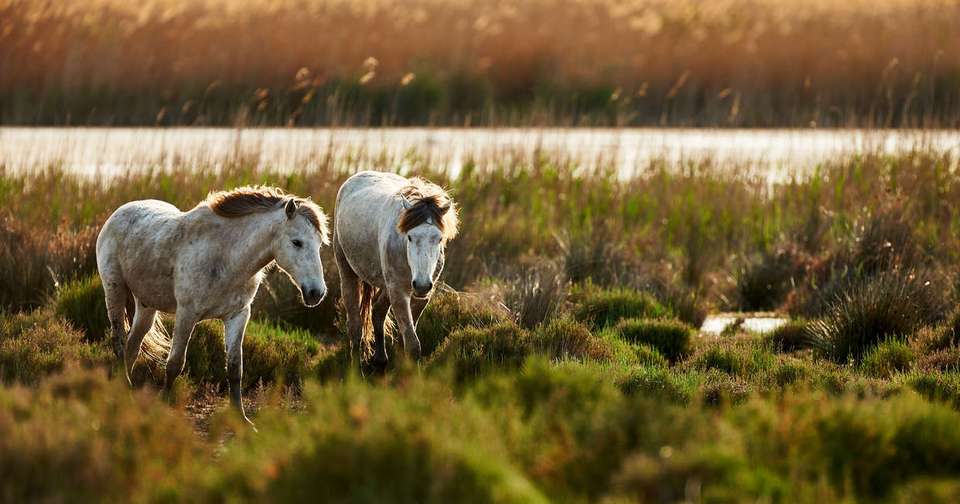 Cycle Marseille to Barcelona - Explore - France