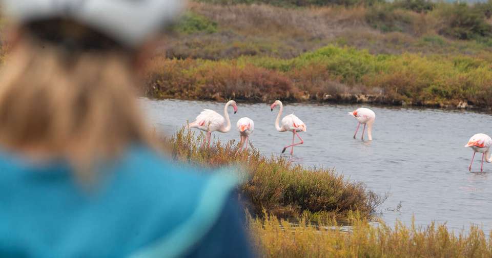 Cycle Marseille to Barcelona - Explore - France