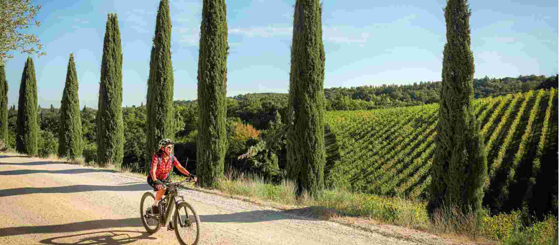 Cycle Pisa to Florence