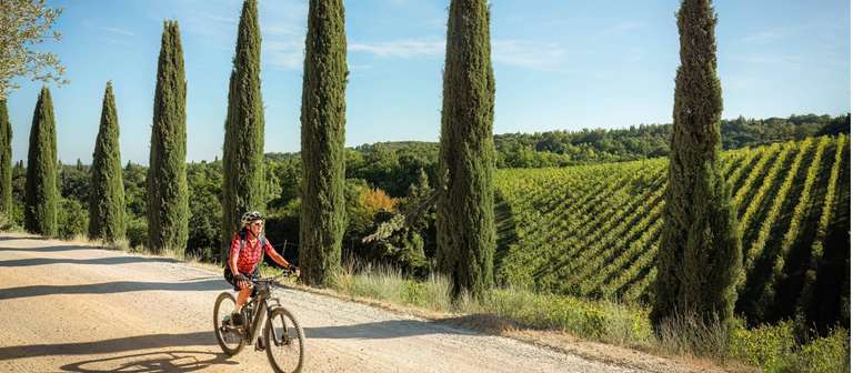 Cycle Pisa to Florence trip - alternative tour available