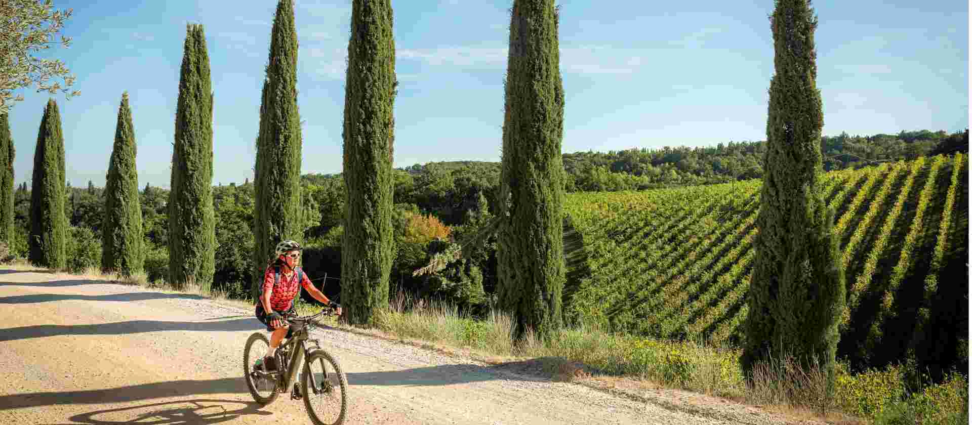 Cycle Pisa to Florence