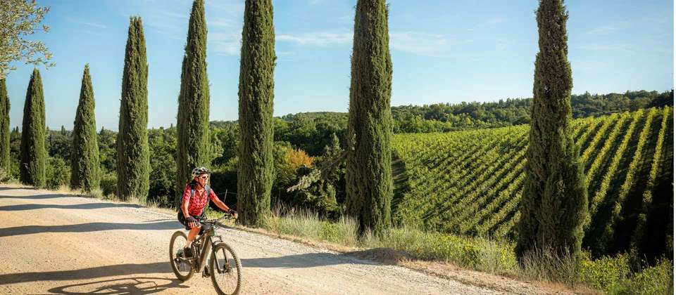 Cycle Pisa to Florence - Utracks - Italy - Image 1