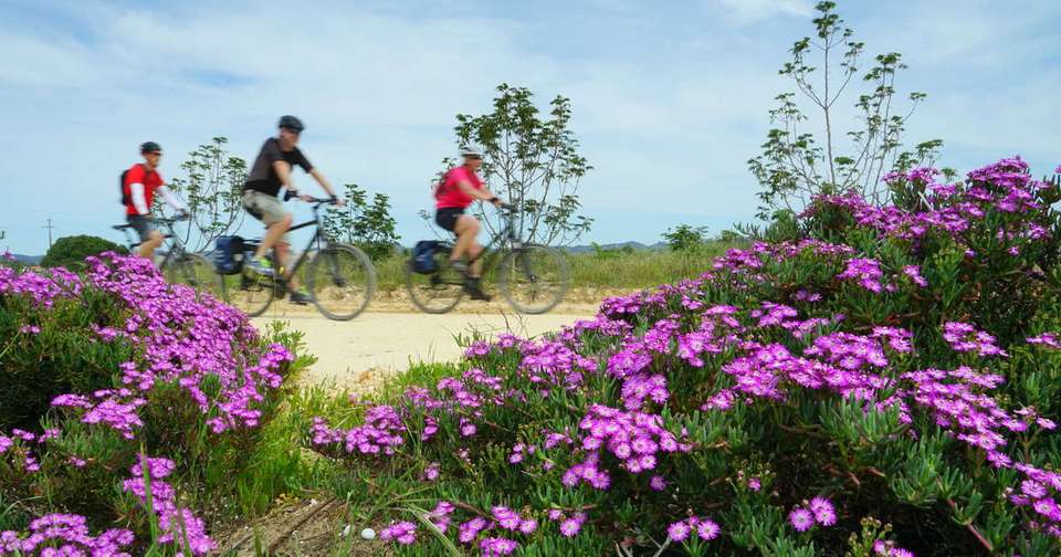 Cycle Portugal - Lisbon to Algarve - Explore - Portugal - Image 17