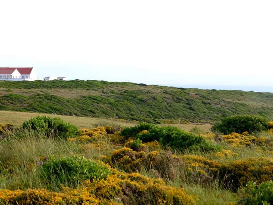 Image 15 of 24