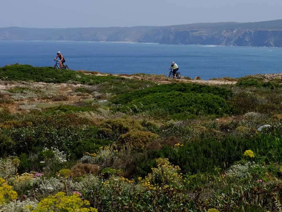 Image 5 of 24