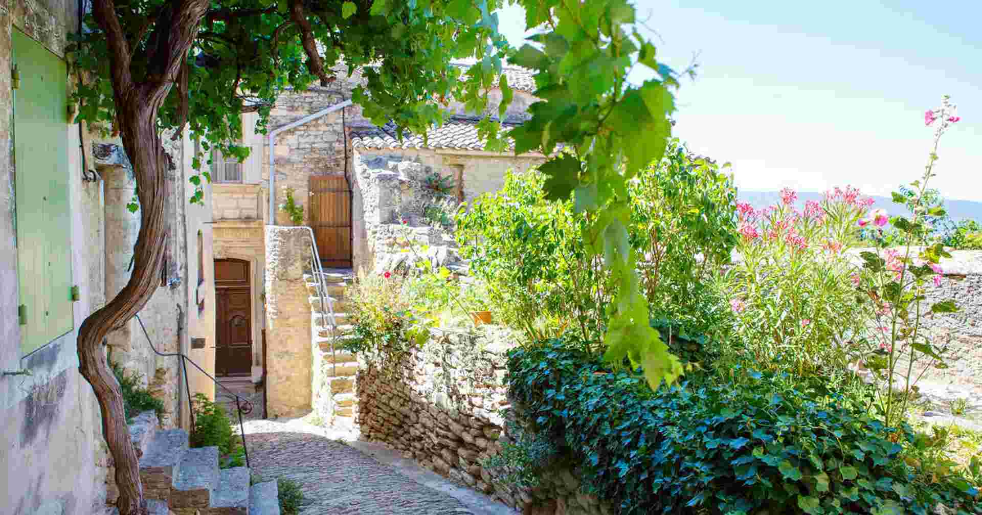 Cycle Provence