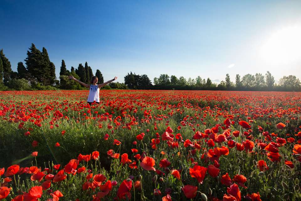 Cycle Provence - Intrepid Travel - France - Image 3