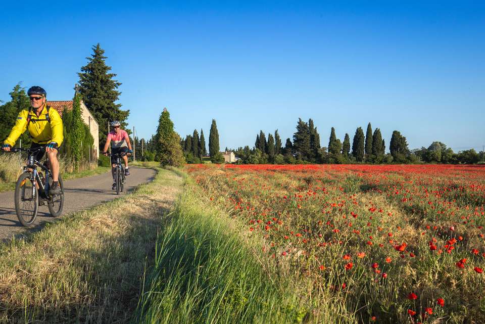 Cycle Provence - Intrepid Travel - France - Image 5