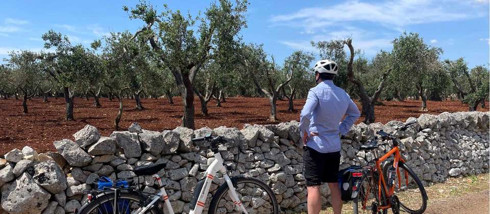 Cycle Puglia - Utracks - Italy - Image 4