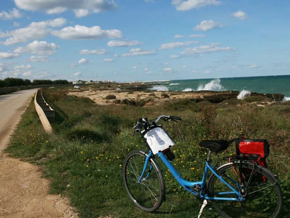 Image 6 of 21