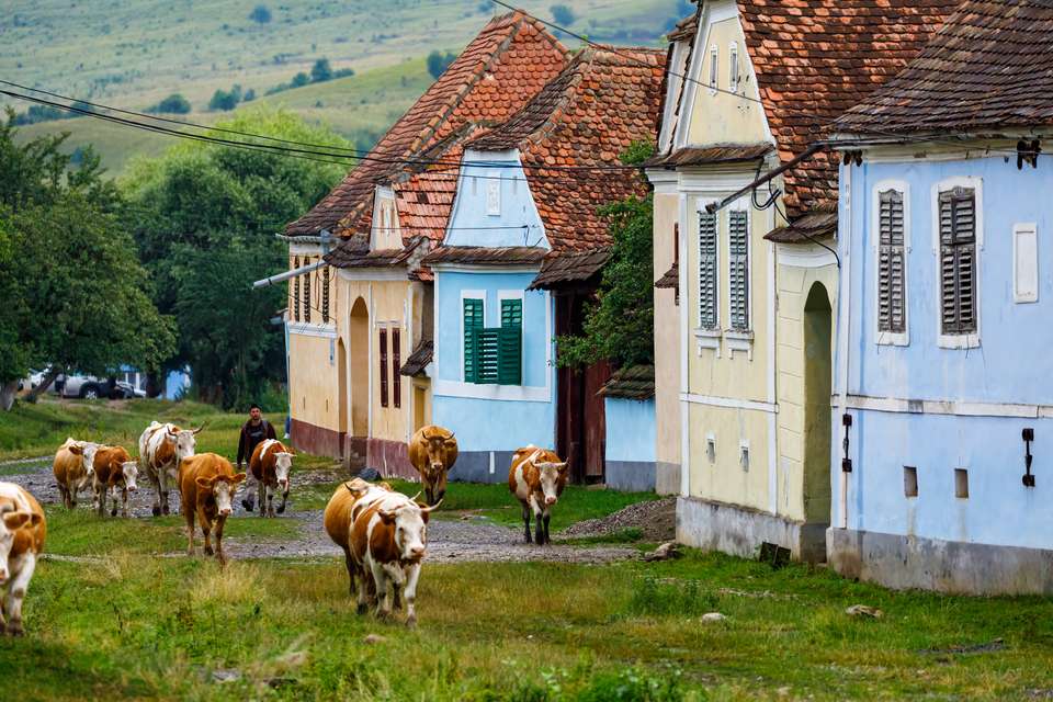 Cycle Romania - Exodus Adventure Travels - Romania - Image 21