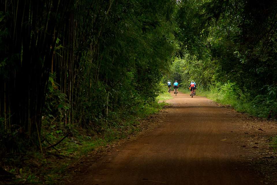Cycle South East Asia - Intrepid Travel - Vietnam - Image 11