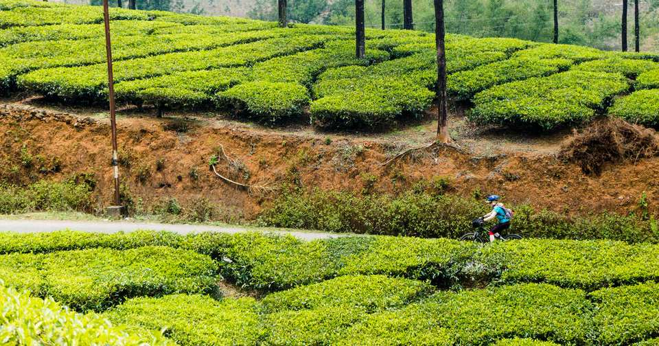 Cycle South India - Tamil Nadu to Kerala - Explore - India - Image 2